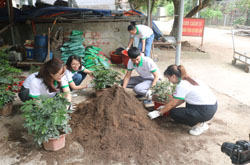 Company representatives and volunteers plant trees to create a natural environment for animals