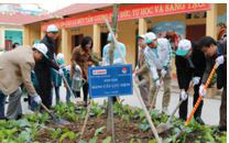 Các Đại biểu tham gia trồng cây