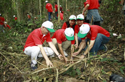 Representatives plant tree in forest