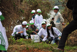 Các bạn tình nguyện viên và học sinh hào hứng tham gia trồng rừng