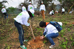 Các bạn tình nguyện viên và học sinh hào hứng tham gia trồng rừng