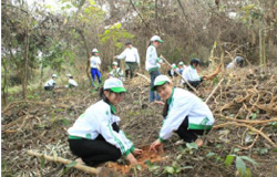 Học sinh hăng hái tham gia trồng rừng