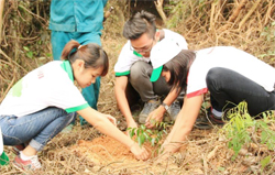 Tình nguyện viên trồng cây trên đảo