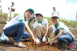 Cùng trồng cây vì một Việt Nam xanh
