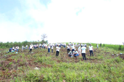 Các tình nguyện viên Canon Cùng trồng cây vì một Việt Nam xanh “tô” xanh núi đồi