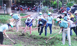 Đại biểu tham gia vào hoạt động trồng cây