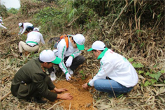 Các thành viên tham gia trồng rừng