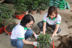 Đại diện Công ty và các tình nguyện viên trồng cây để tạo môi trường tự nhiên cho động vật  
