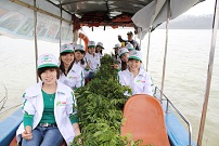 Employees bring trees to plant on island of Ben En National Park, Thanh Hoa province