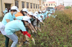 Học sinh, thanh niên, tình nguyện viên hăng hái tham gia nhặt rác làm sạch môi trường